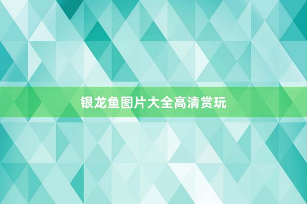 银龙鱼图片大全高清赏玩